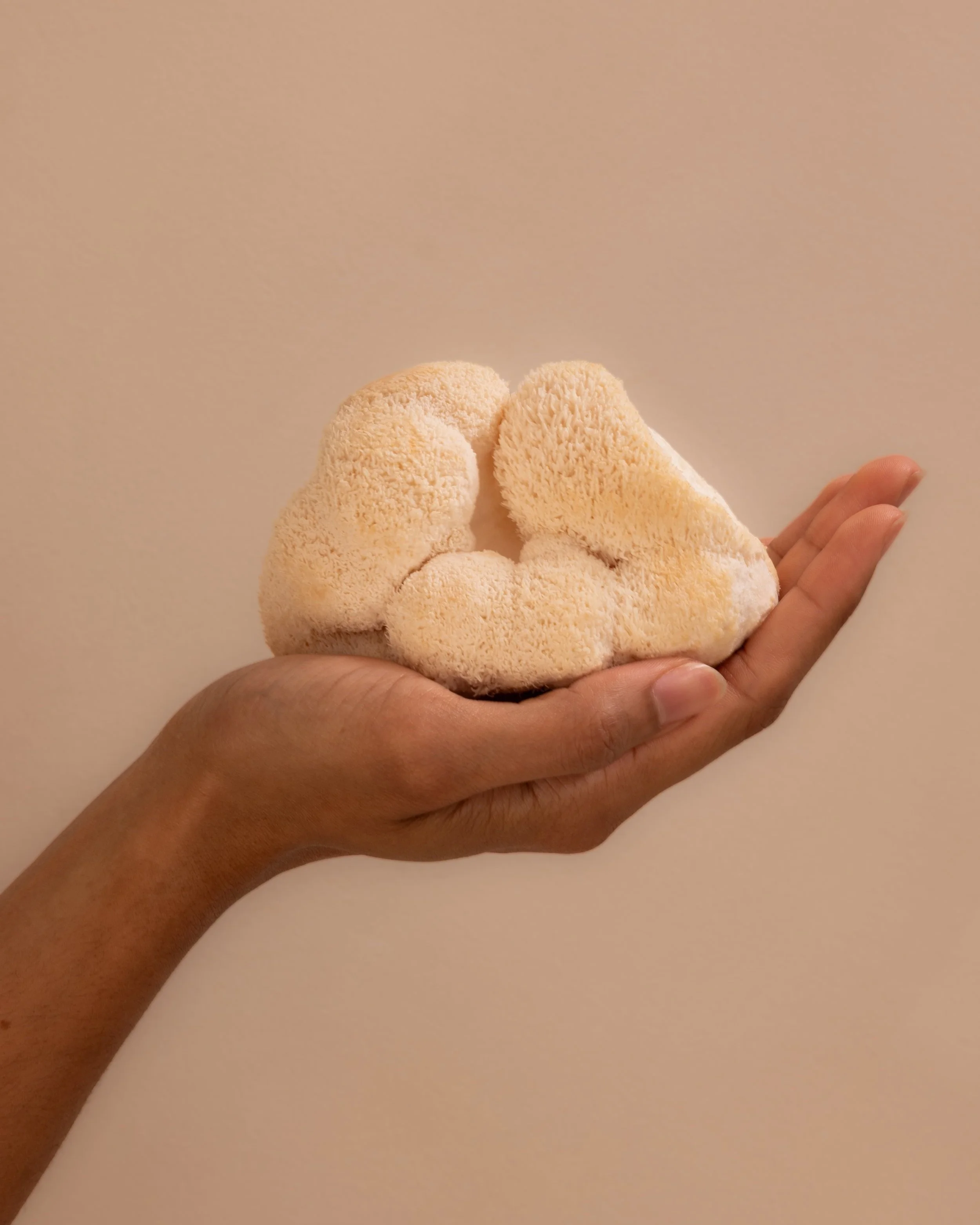 The Herbtender lifestyle — natural light brand content